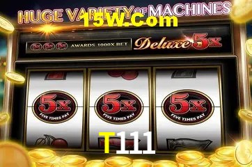 Ofertas Exclusivas T111