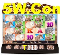 T111,T111 Bet